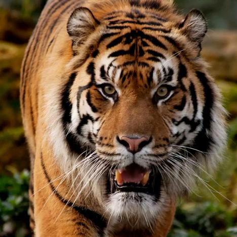 ℳ🥂唯ꦿ薛⁵²º᭄宠朱ꦿ҉᭄🍒