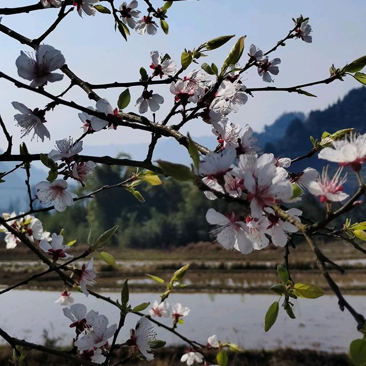 ᭄࿆多财 多亿꧔ꦿ᭄❀ ͜