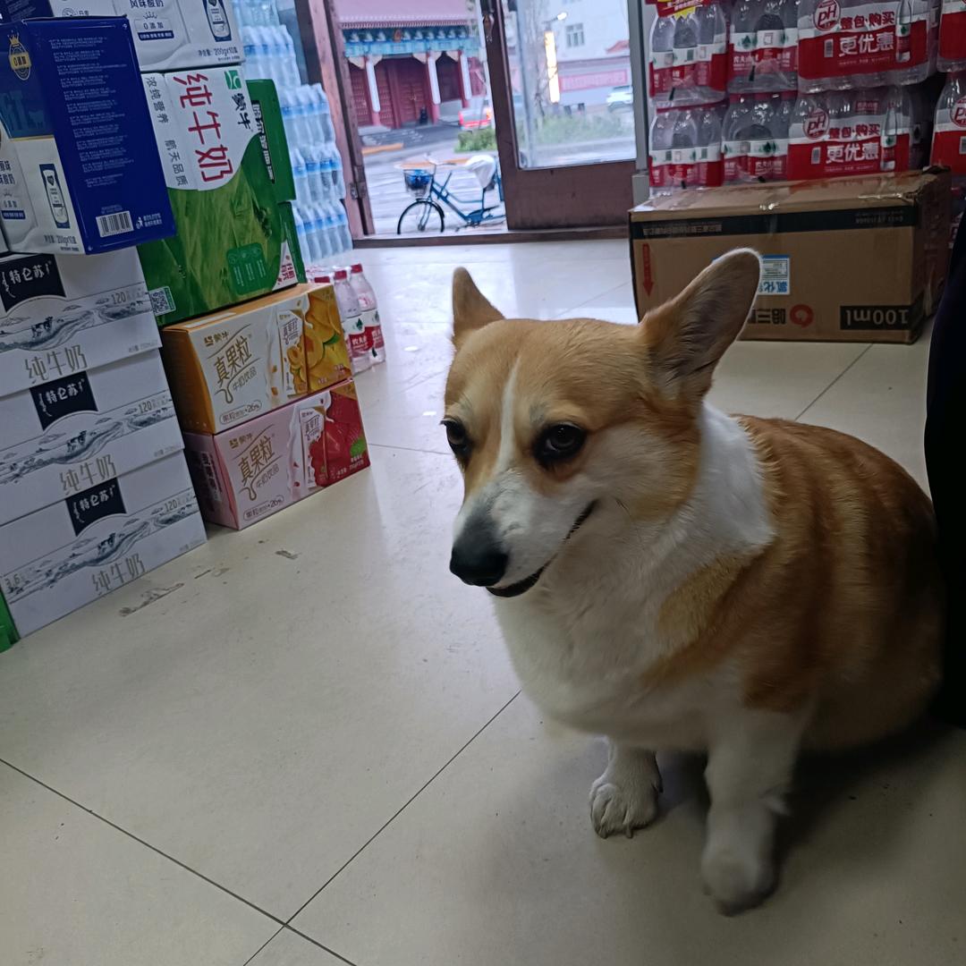 和谐清雅
