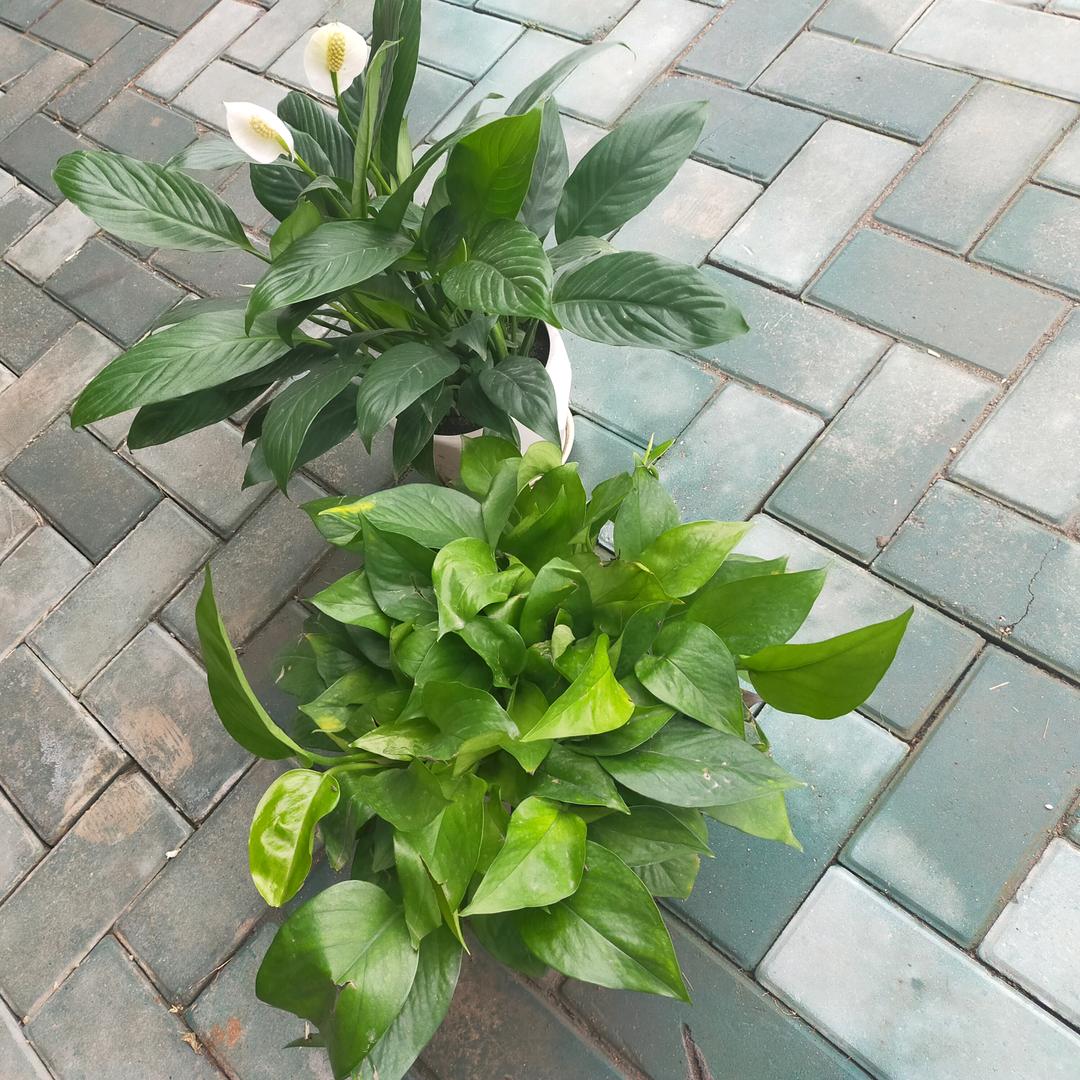 向幸福出发