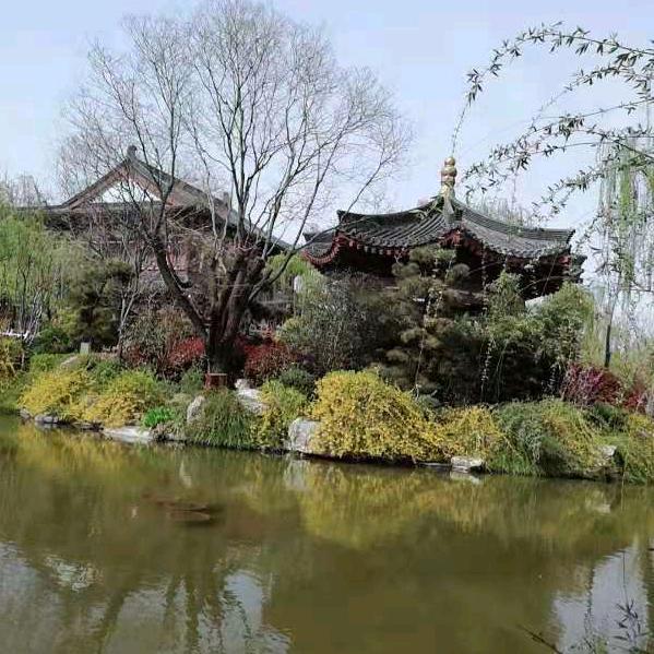 小提