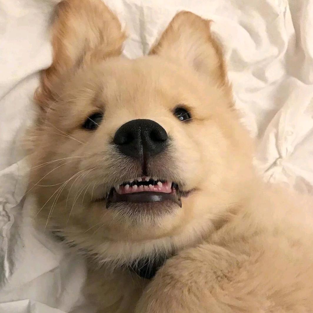 我爱赖床