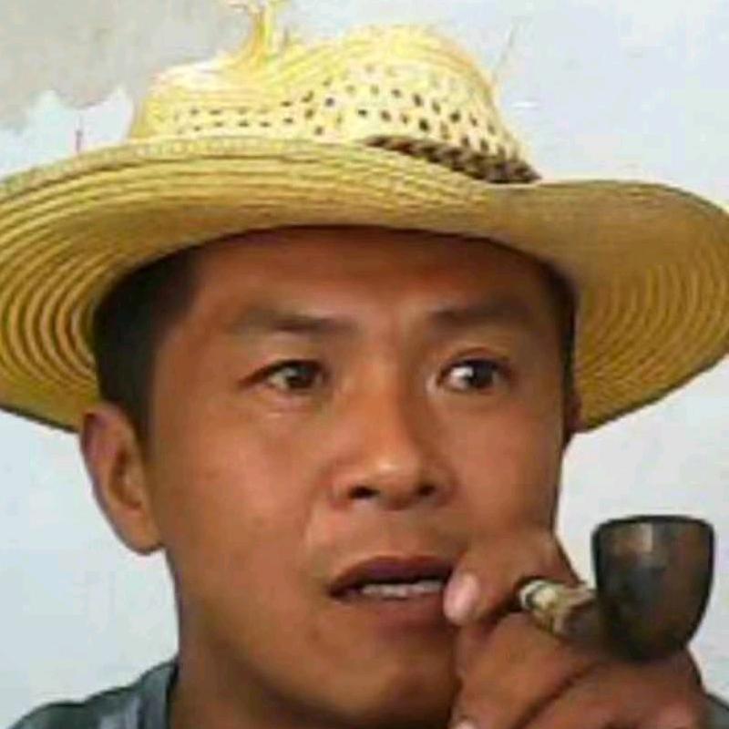老甘草