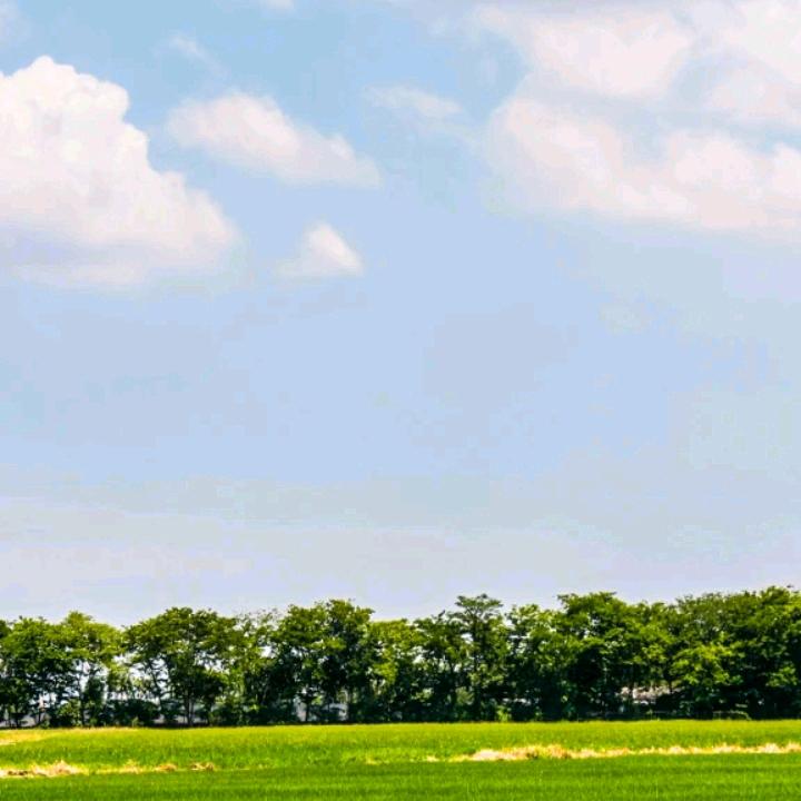 家纺定制，蚕丝被，羽绒被，窗帘，晾衣架！