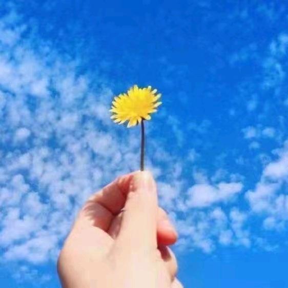 快乐每一天正能量