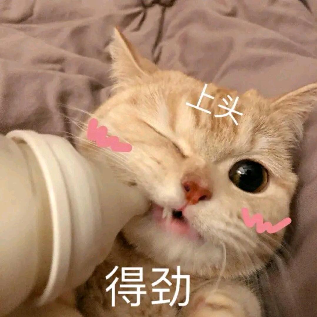 一碗西瓜子