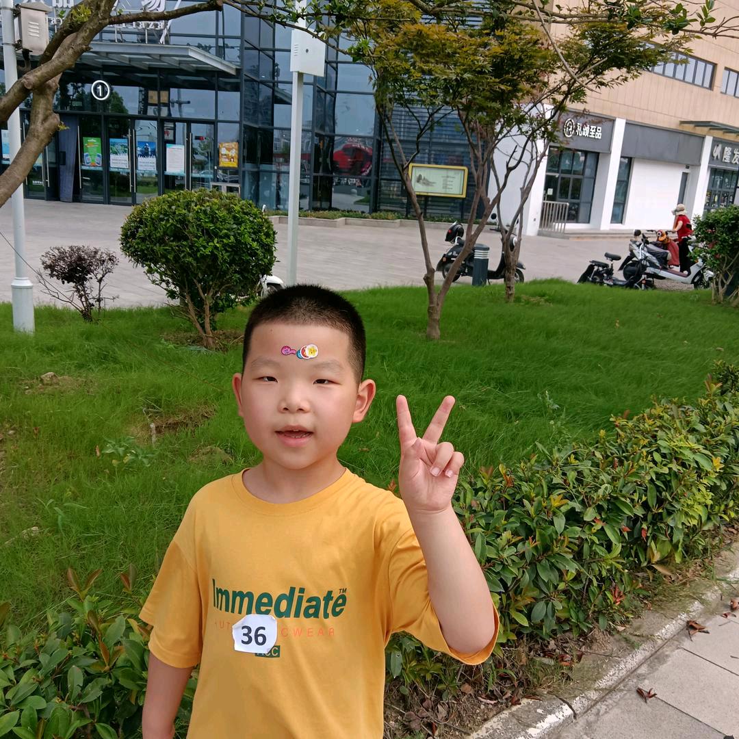 柠檬树下的琴音