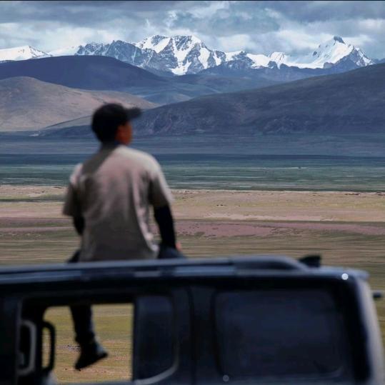 权志龙中国分龙