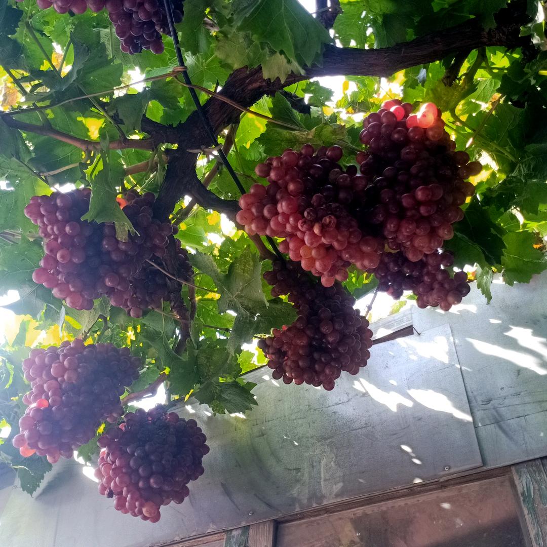 缘分天空