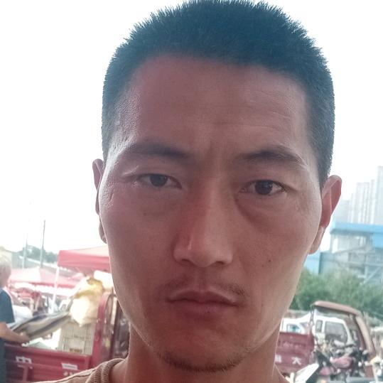 冬枣诗人付军