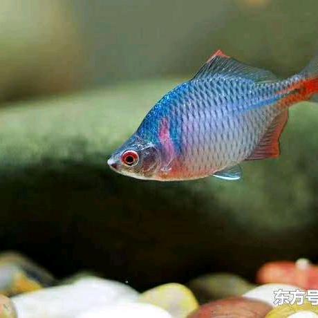 墨中乐