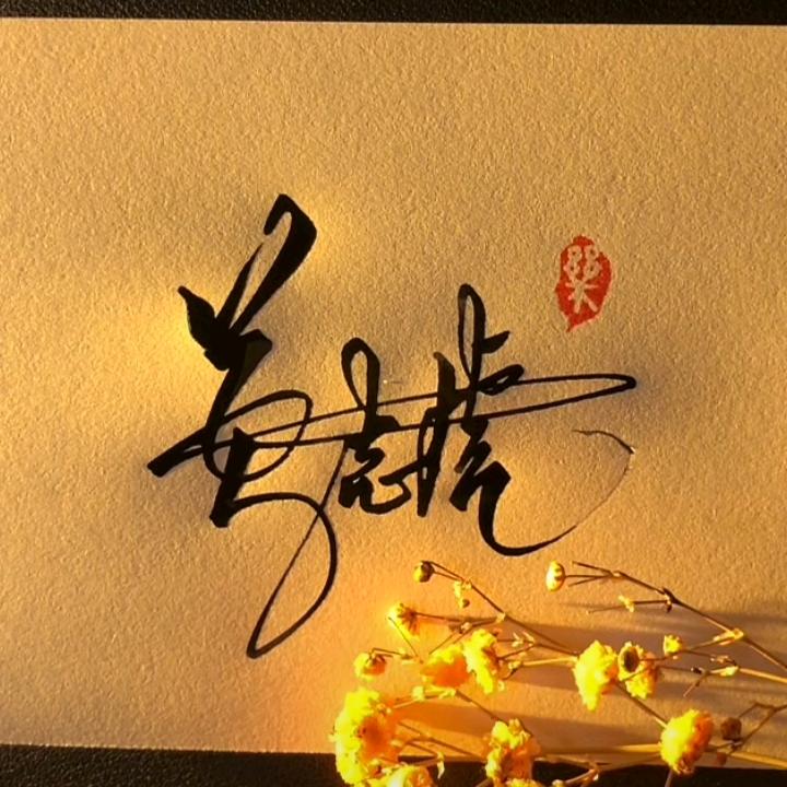 虎哥霸气短剧集