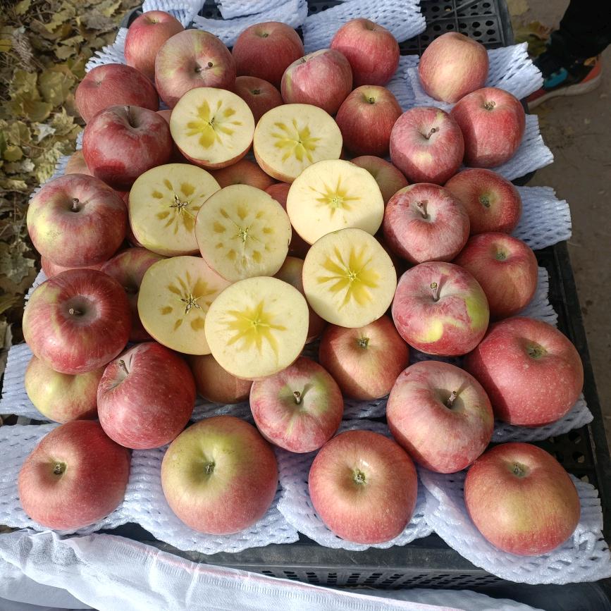 🌴苹果香梨🌷🍁