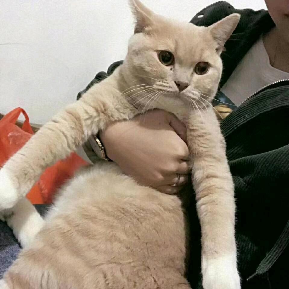 掌控未来