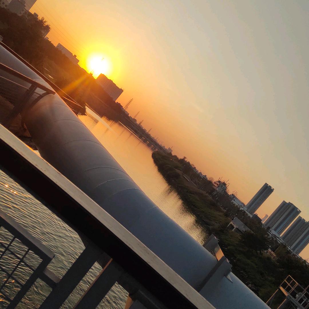 路在何方1234567890