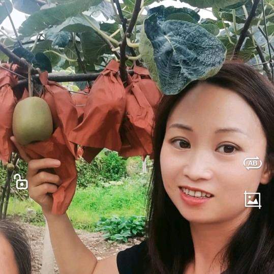 紅心猕猴桃潘小妹