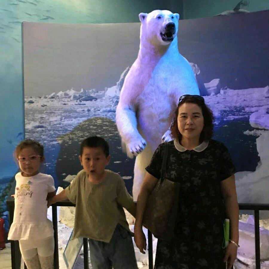 明天更美好山菊