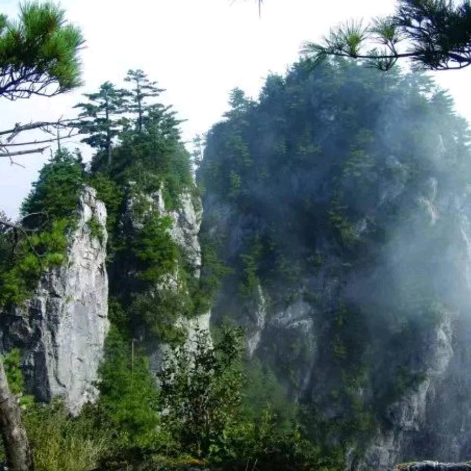 冷非寒
