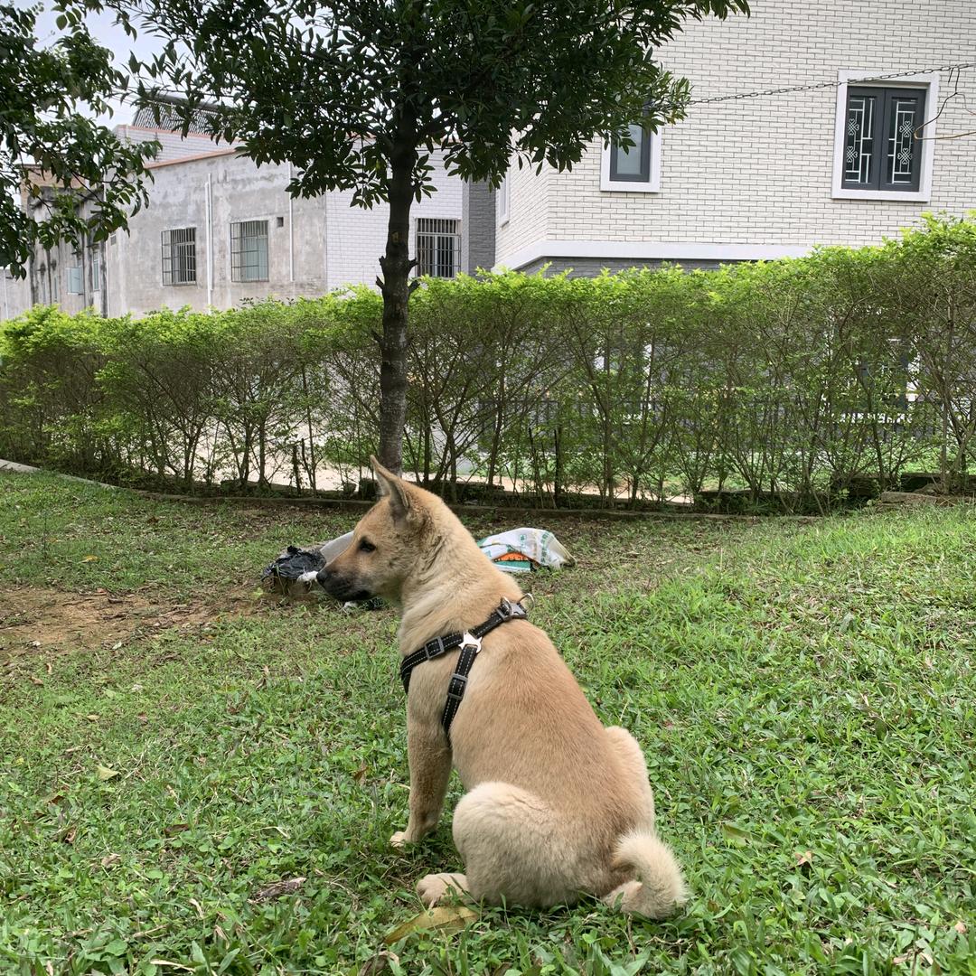 喜欢吃荷包蛋的牧君&