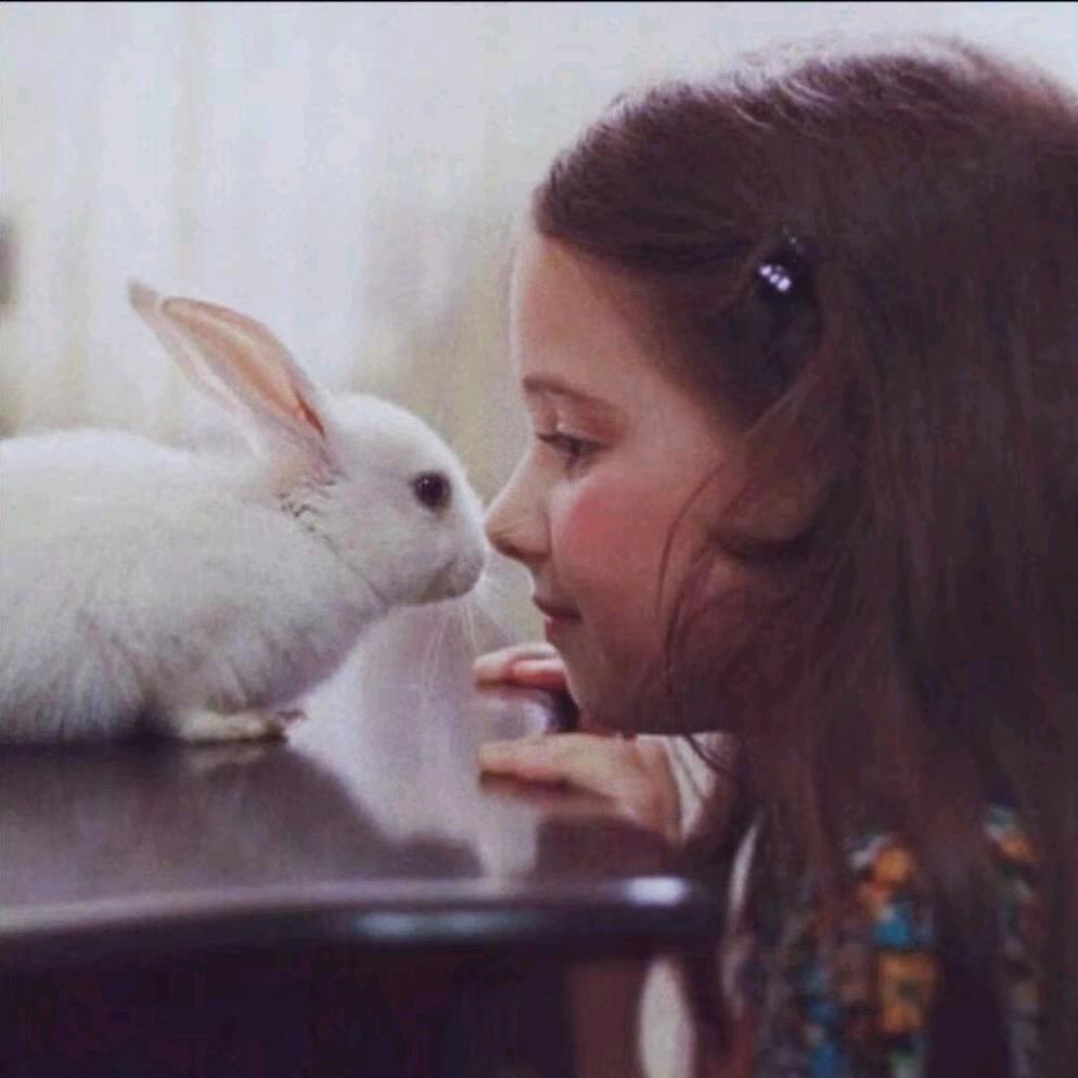 @心茹不会长胖会发财财神爷独宠我