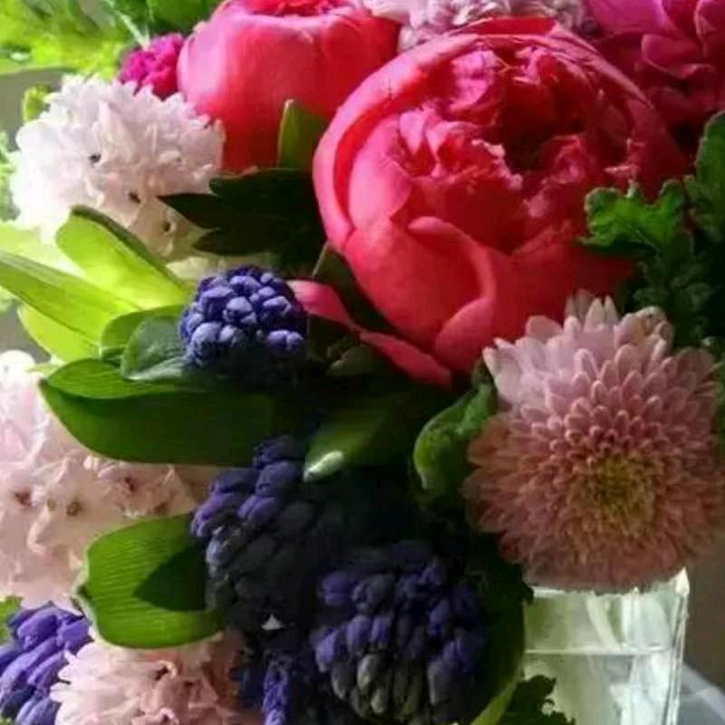 💋阳梓帆💐🌾