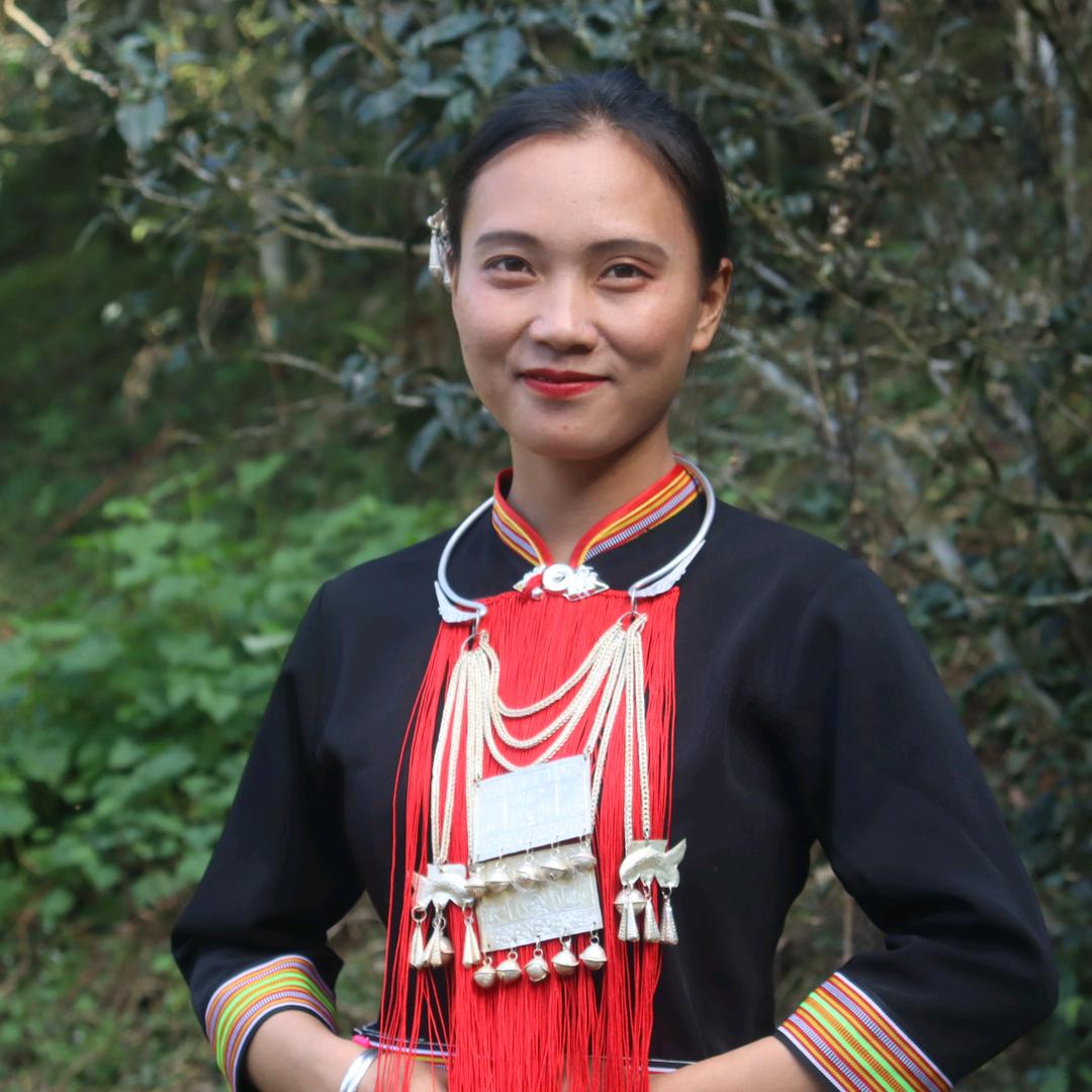 刮风寨59号！茶新