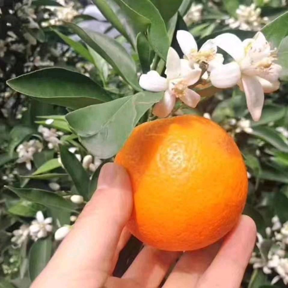 指南针
