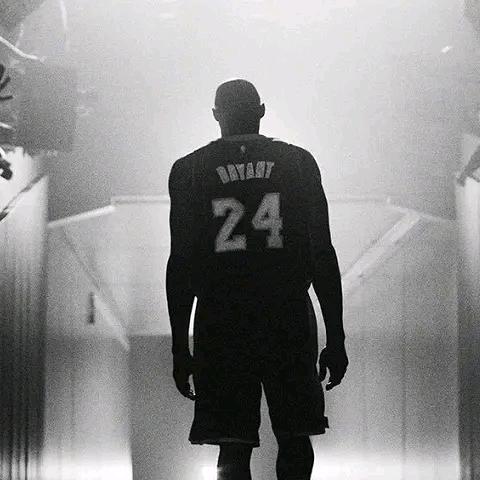 回首不见黑曼巴