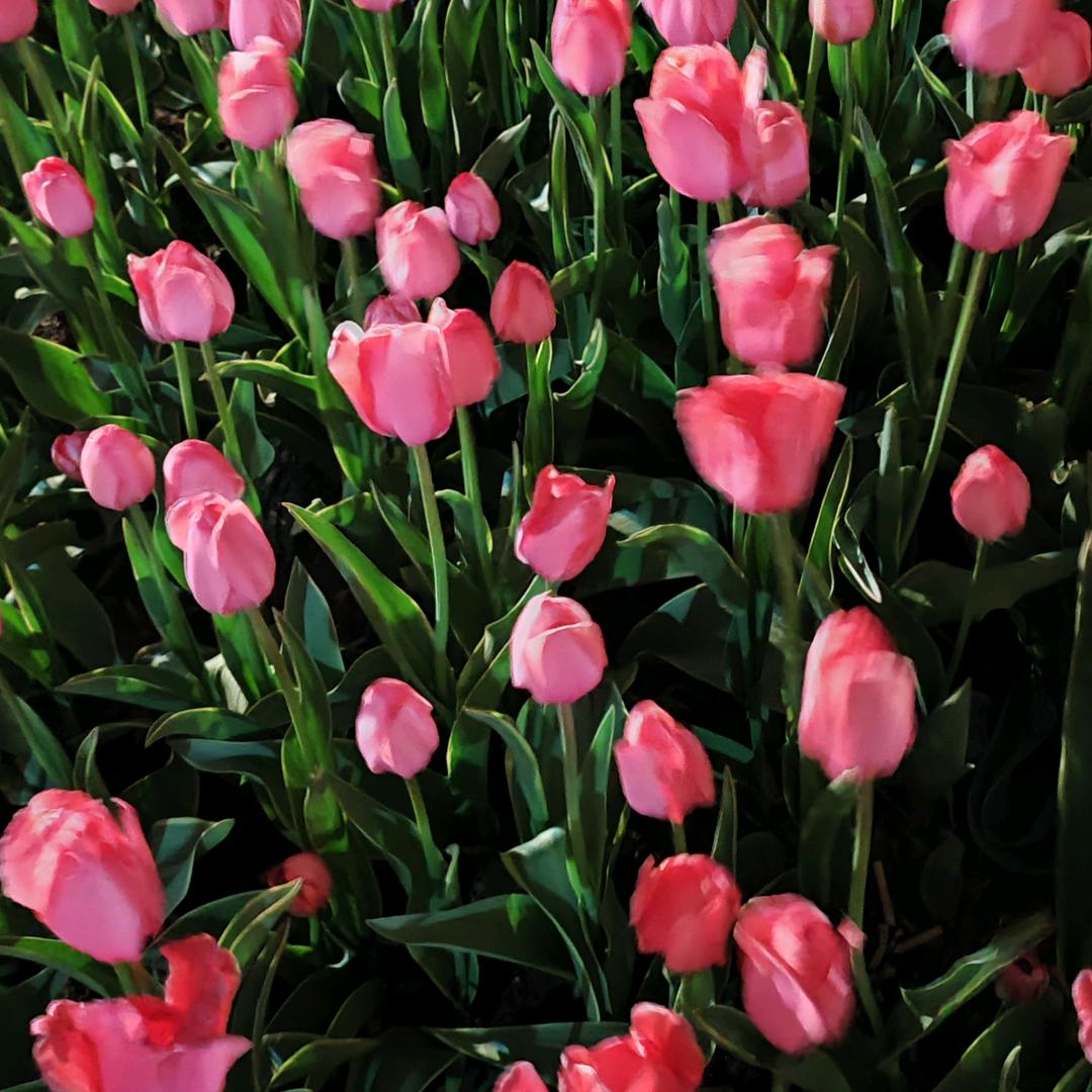 你开心，我快乐