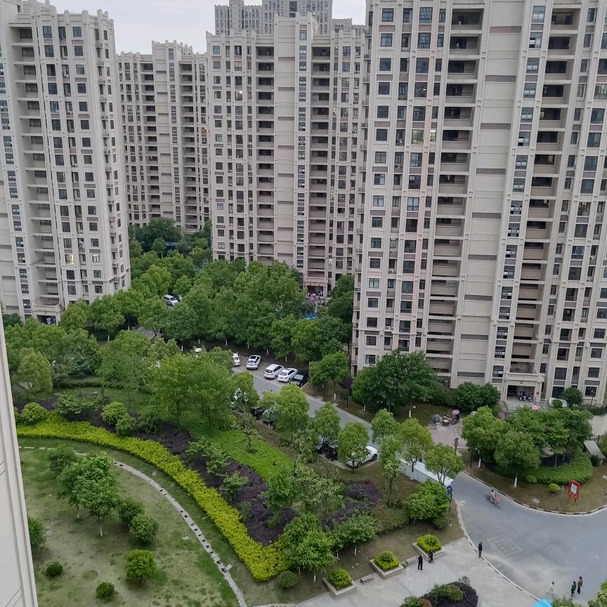 锋回路转