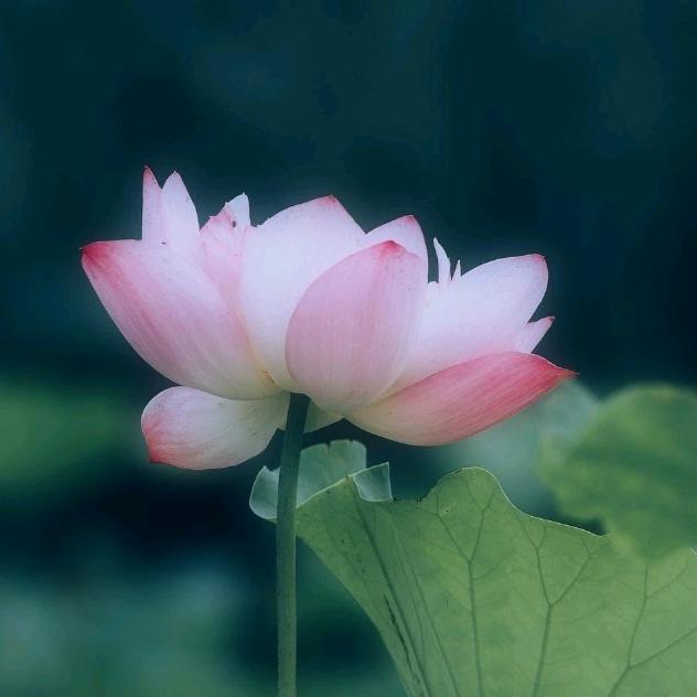 正