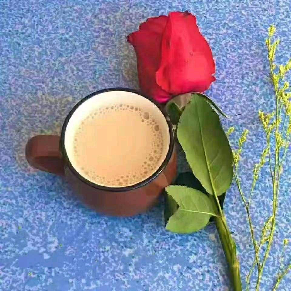 退一步海阔天空