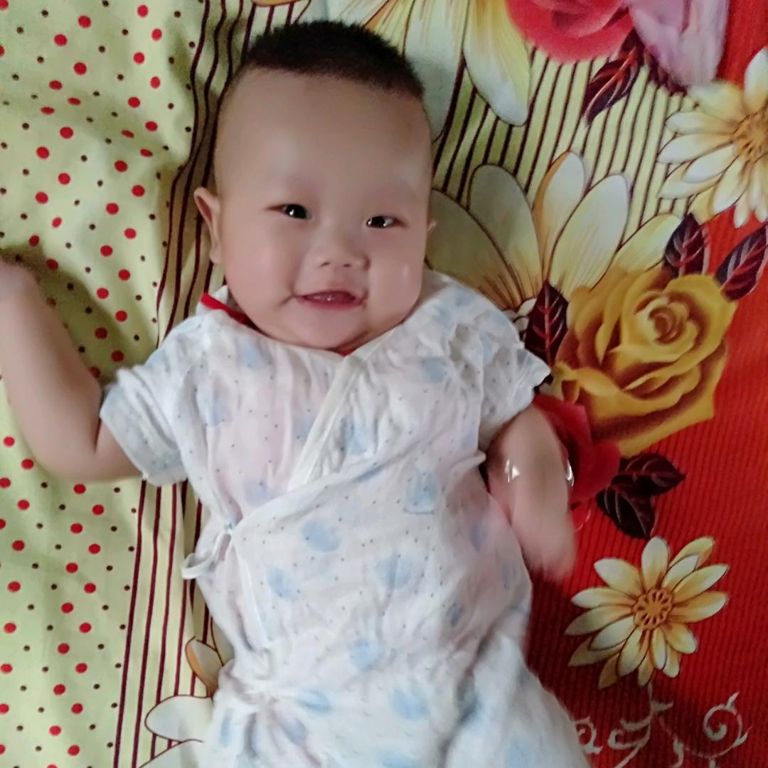 小滕藤