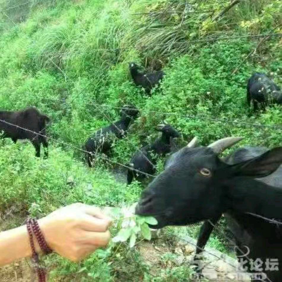 明天更好。