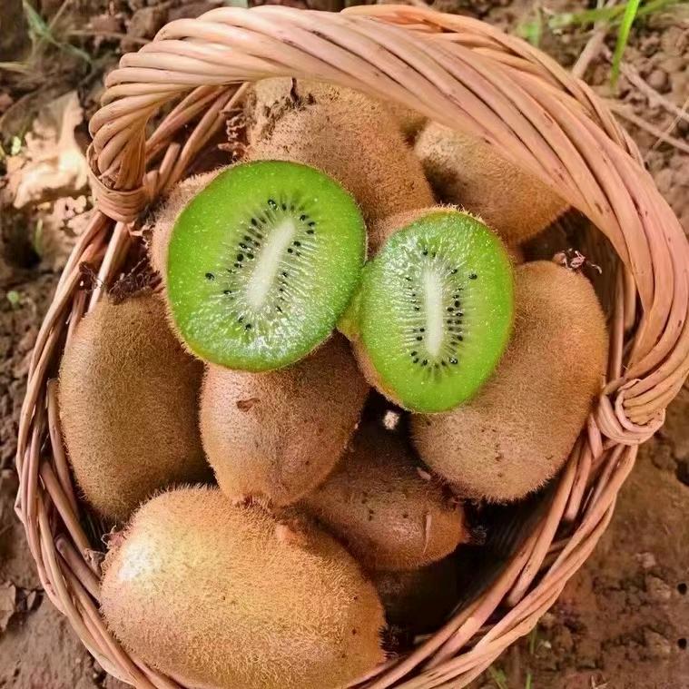 一点都不累，加油！