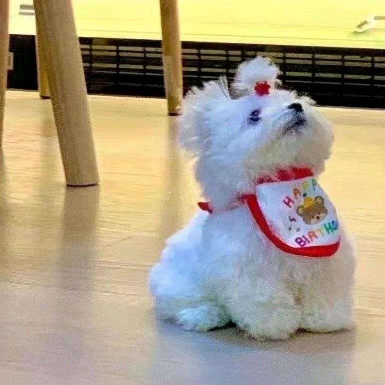 多多