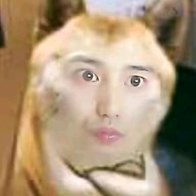 代代不呆呆