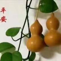 刘永华