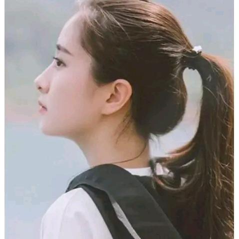 多乐