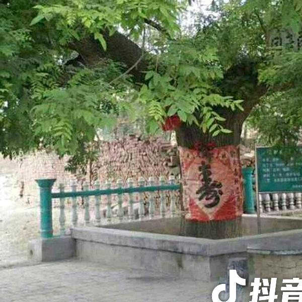 早上的阳光