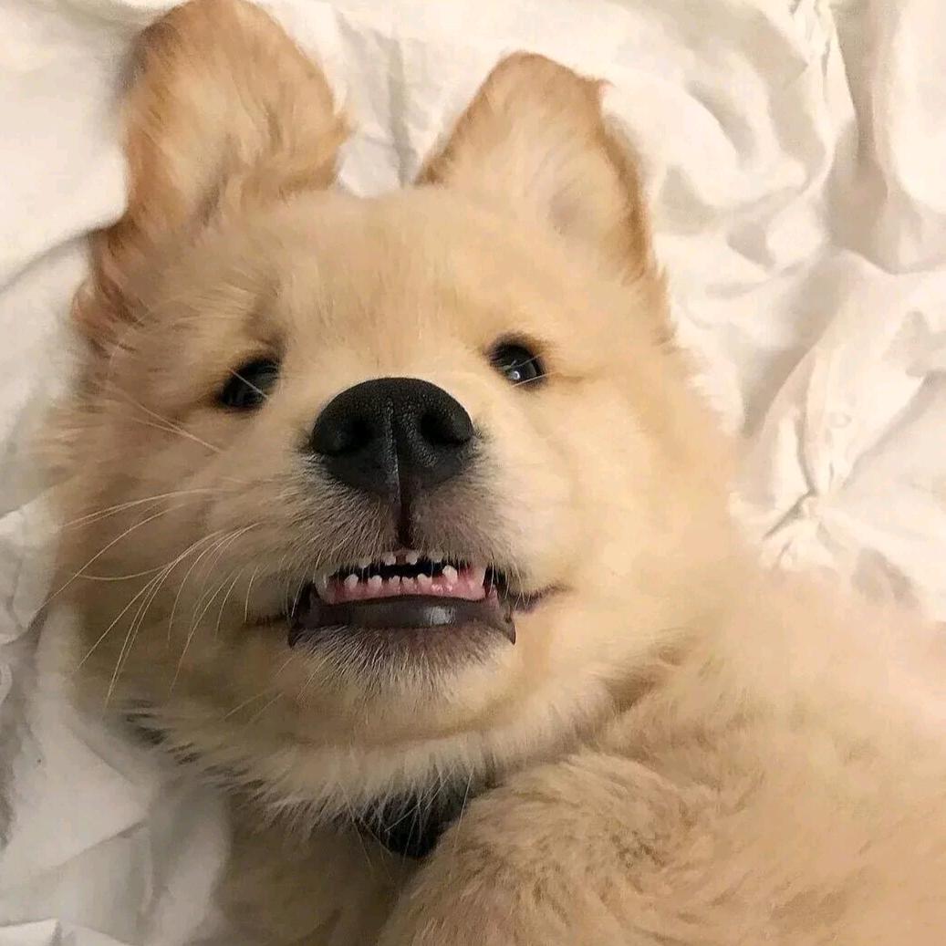 美却不自知
