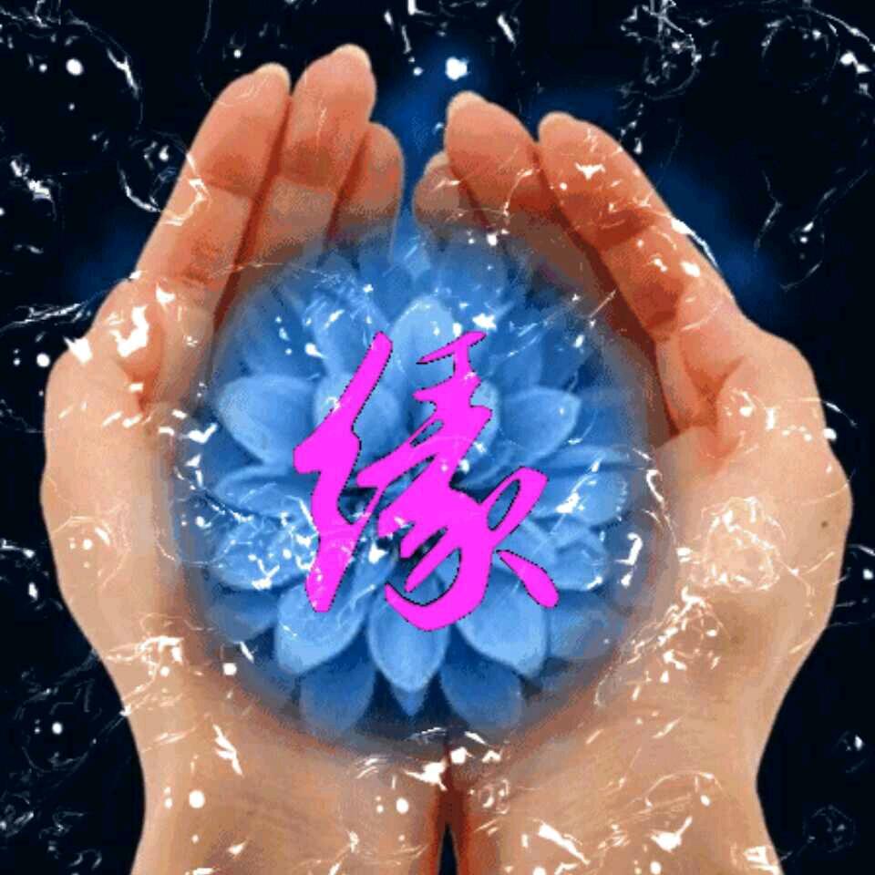 空谷幽兰