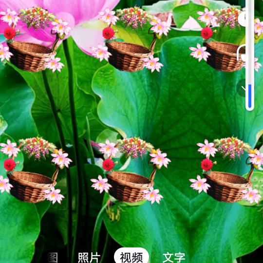 你是谁