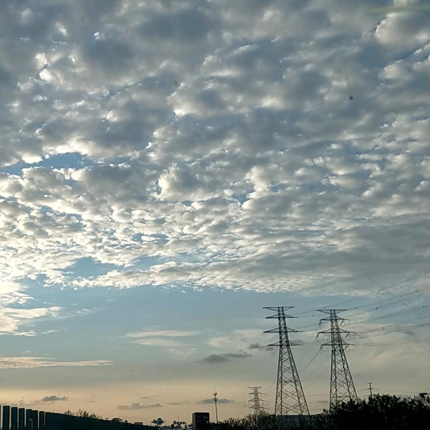 🇻🇳小🎡莫🛤