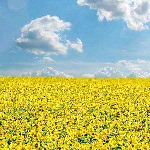 岩石