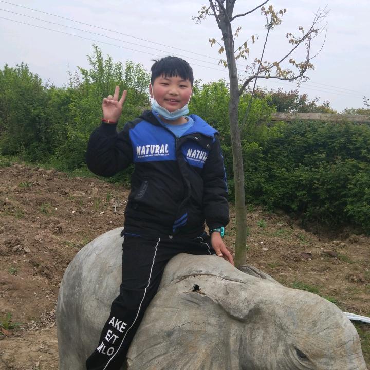 李凤