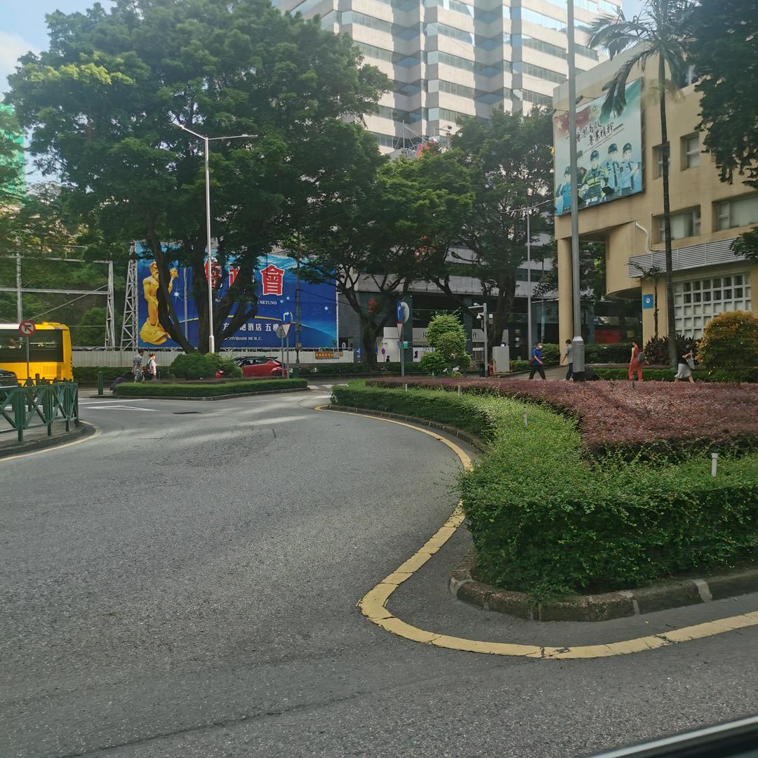 奔跑的🐲