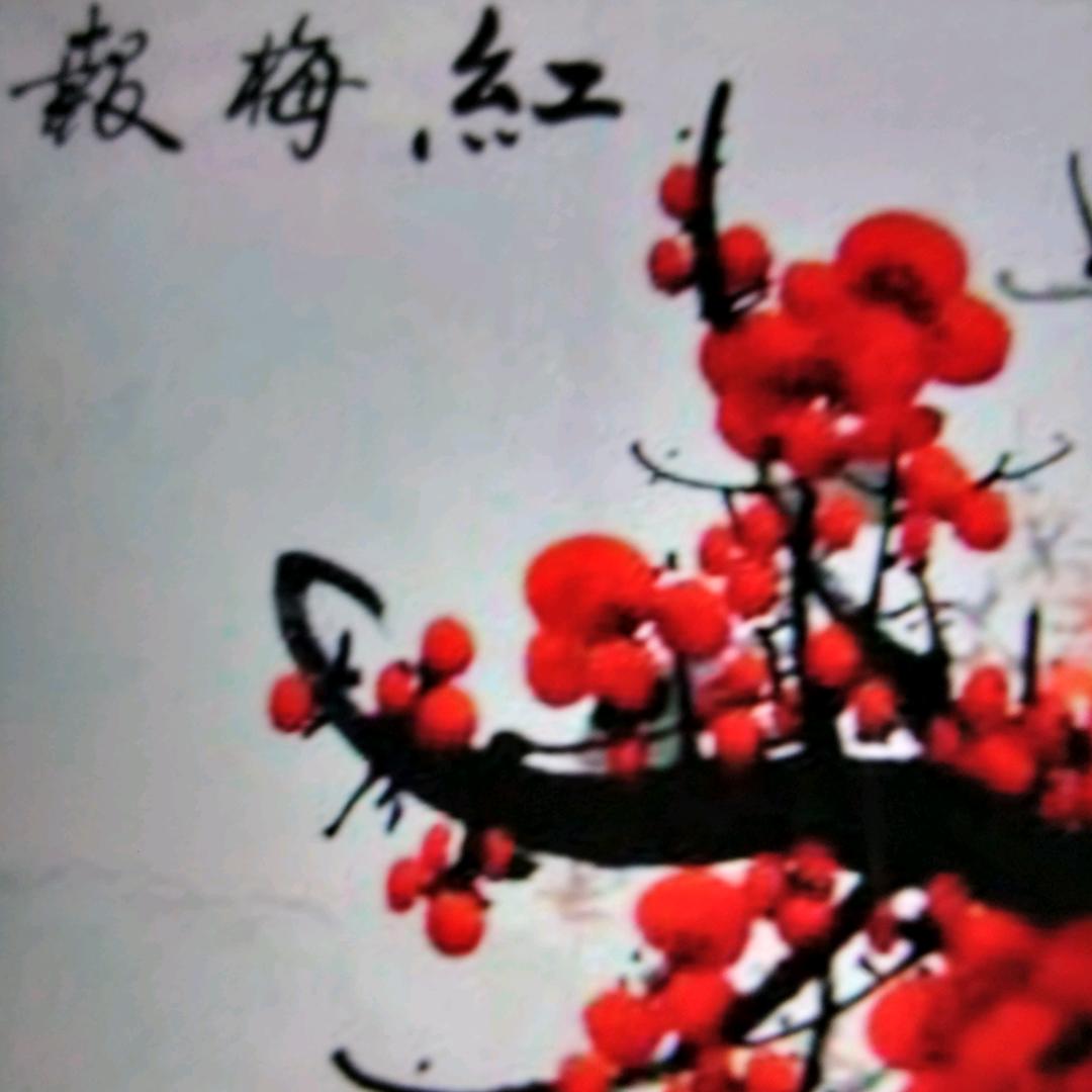 傲雪冬梅