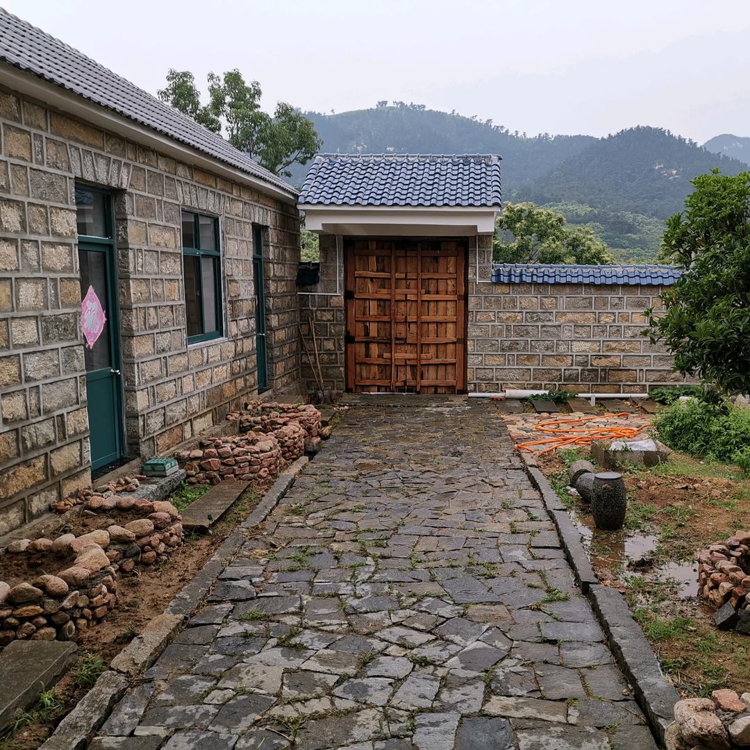 惊鸿照影