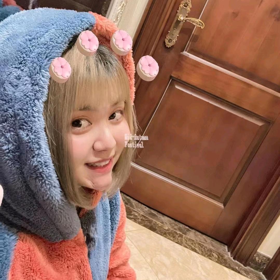 奔跑的小驴驹。